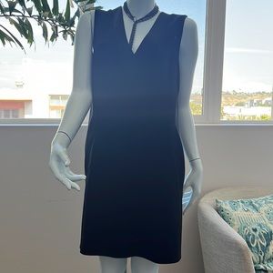 Rag and Bone Phoebe Shift Black Sleeveless Dress Sz 6